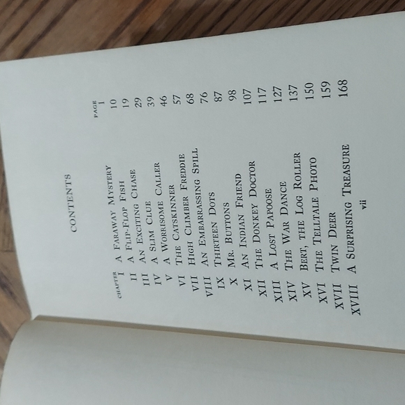 The Bobbsey Twins' Forest Adventure - Picture 8 of 12